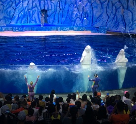 オーシャンキングダムをお楽しみ下さい。